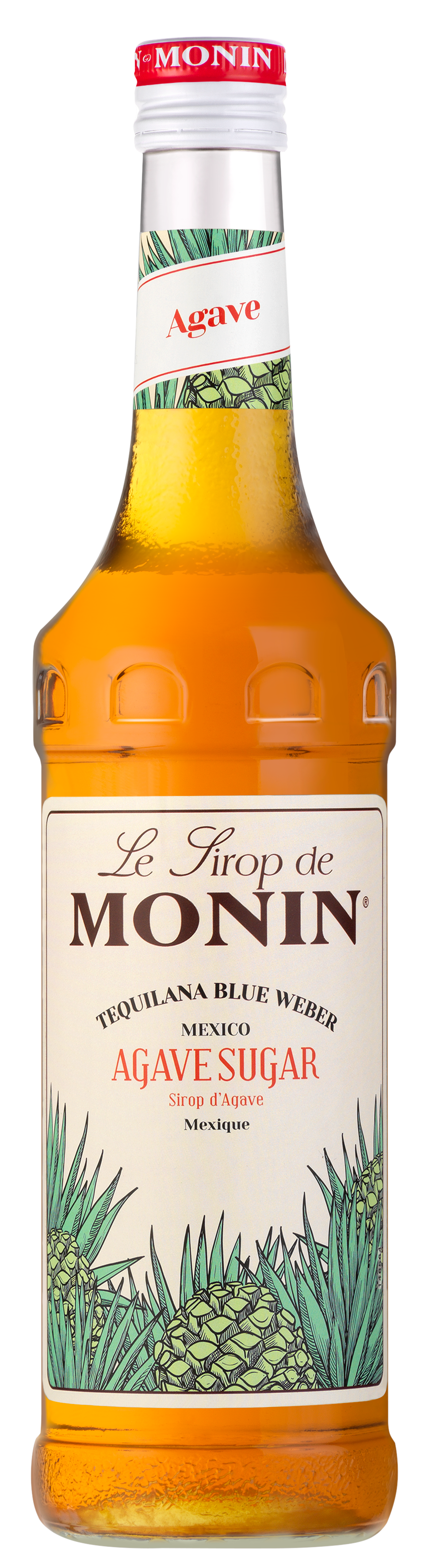 MONIN Agave Syrup 70cl